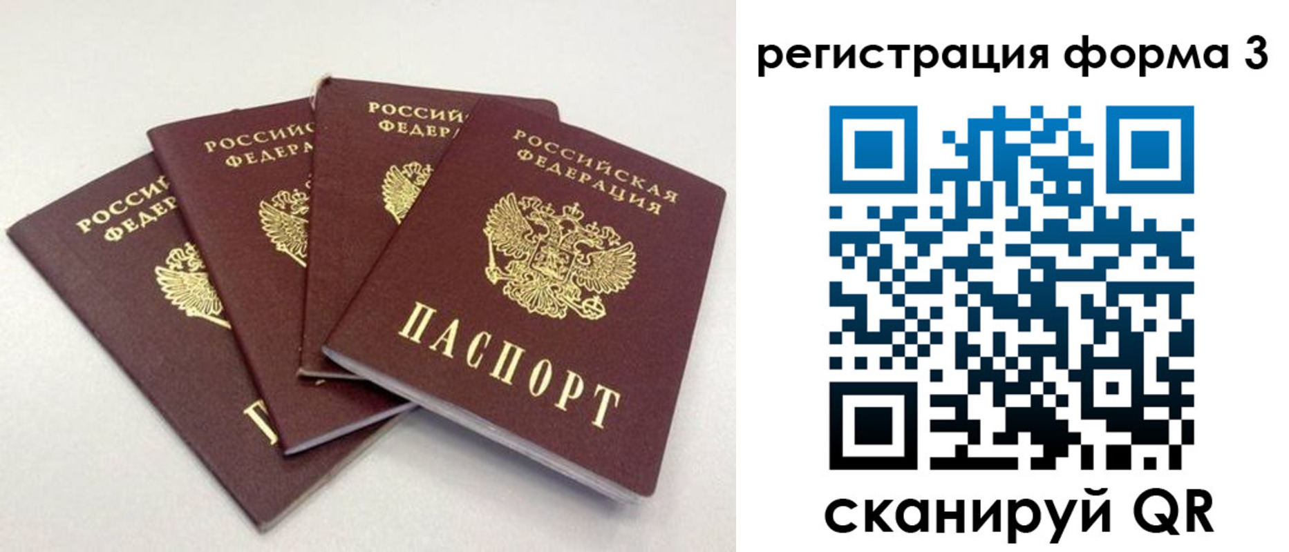 прописка 2025 в Коле
